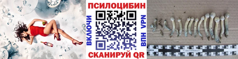 Псилоцибиновые грибы ЛСД  закладка  Иланский 